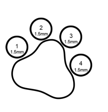 Threadless Paw Print Faceted Gem End VS Clarity DEF Color Lab Created Diamond - Image 3