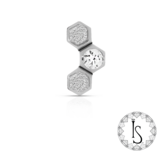 Threadless Titanium Stippled Honeycomb #1 Faceted Gem End