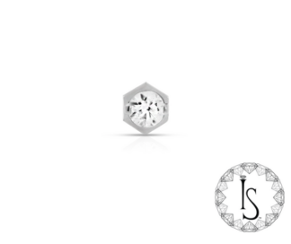 Threadless Titanium Stippled Honeycomb #3 Faceted Gem End